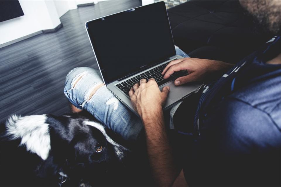 Person tippt auf einem Laptop auf dem Schoß, daneben liegt ein schwarz-weißer Hund, Symbolbild